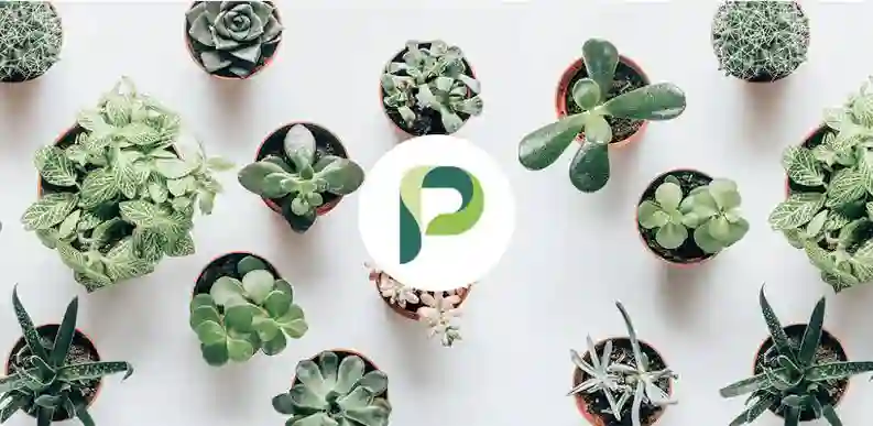 Planta Mod Apk 2.5.2 (Premium Unlocked)
