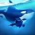 World Of Water Mod APK For Android