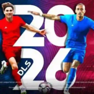 DLS 2026 APK Icon