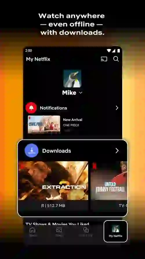 Netflix MOD APK Download