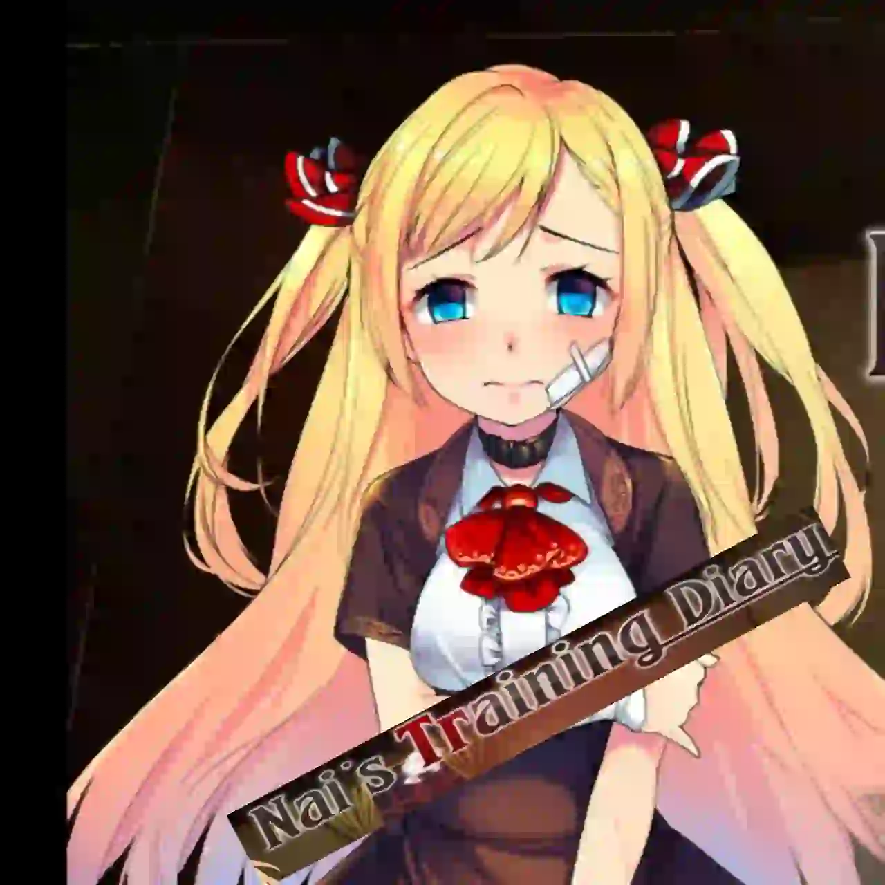 Nai's Training Diary APK Icon